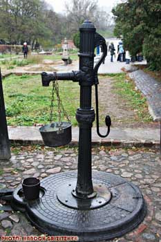 IMG_ (10465)